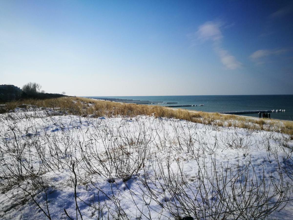 Darsser Strandgut - Haus Ahrenshooper Holz Exterior photo